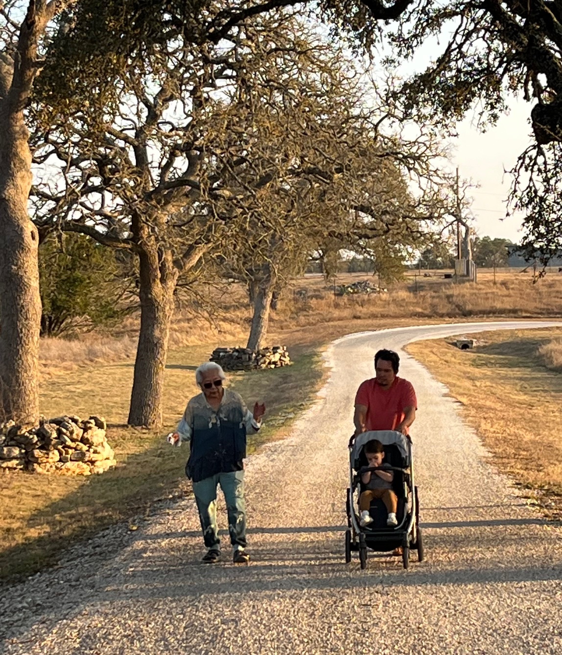 Matriarch moment (placeholder)